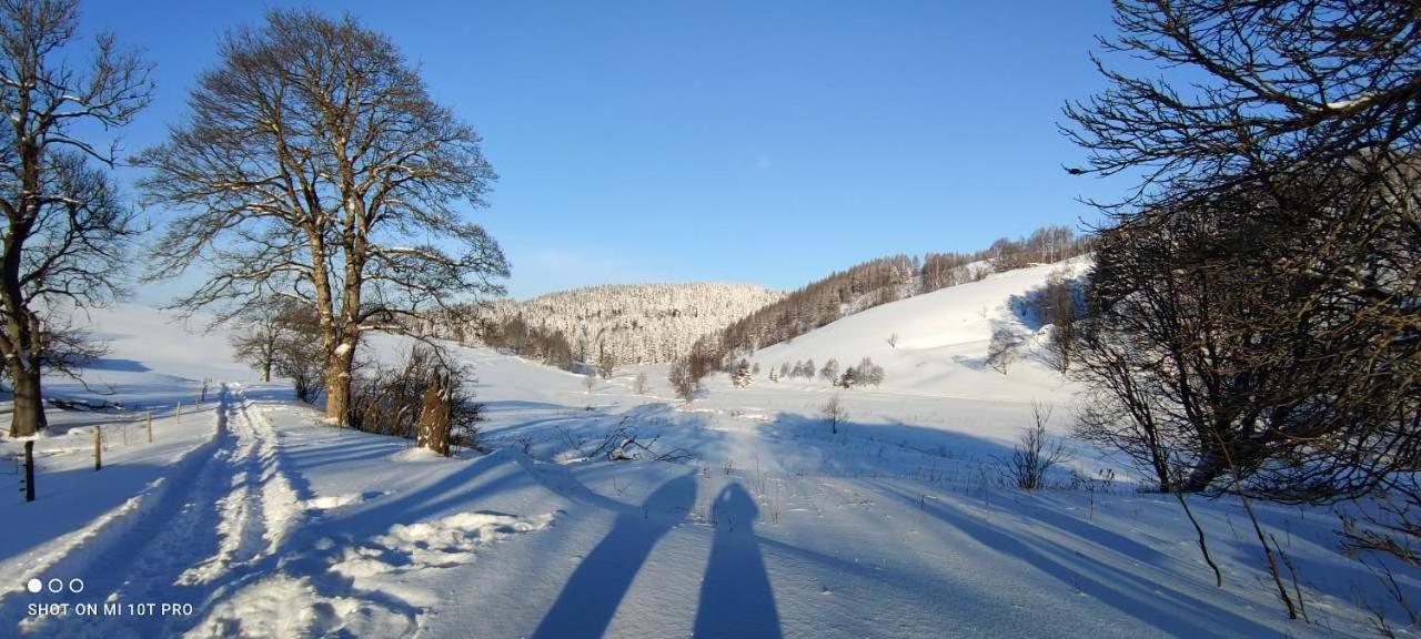 Holiday Home Moldava Buitenkant foto