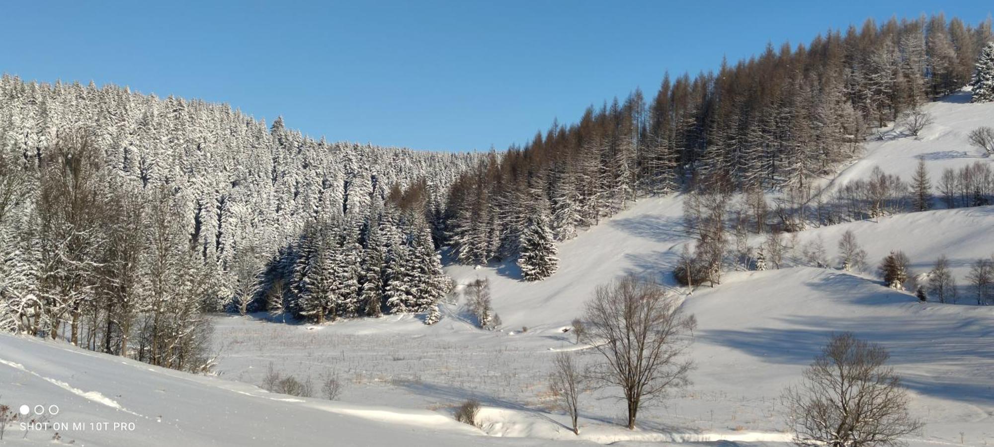 Holiday Home Moldava Buitenkant foto